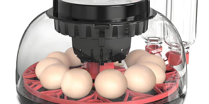 CARLA HOME 12 Egg Incubator with Automatic Turning, LED Display, Humidity & Temperature Control, Auto Water System & Built-in Egg Candler for Chicken, Duck, Quail, Goose