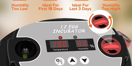 CARLA HOME 12 Egg Incubator with Automatic Turning, LED Display, Humidity & Temperature Control, Auto Water System & Built-in Egg Candler for Chicken, Duck, Quail, Goose