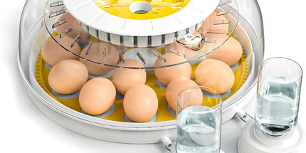CARLA HOME 18 Egg Incubator with Automatic Turning, LED Display, Humidity & Temperature Control, Auto Water System & Built-in Egg Candler for Chicken, Duck, Quail, Goose