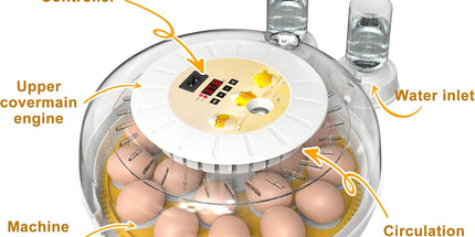CARLA HOME 18 Egg Incubator with Automatic Turning, LED Display, Humidity & Temperature Control, Auto Water System & Built-in Egg Candler for Chicken, Duck, Quail, Goose