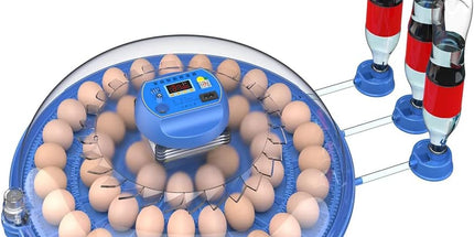 CARLA HOME 52 Egg Incubator with Automatic Turning, LED Display, Humidity & Temperature Control, Auto Water System & Built-in Egg Candler for Chicken, Duck, Quail, Goose