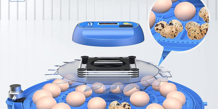 CARLA HOME 52 Egg Incubator with Automatic Turning, LED Display, Humidity & Temperature Control, Auto Water System & Built-in Egg Candler for Chicken, Duck, Quail, Goose