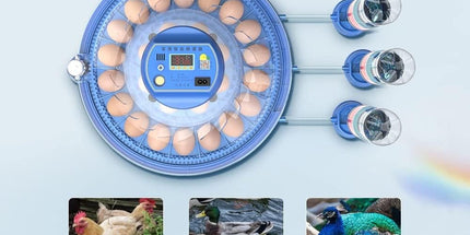 CARLA HOME 52 Egg Incubator with Automatic Turning, LED Display, Humidity & Temperature Control, Auto Water System & Built-in Egg Candler for Chicken, Duck, Quail, Goose