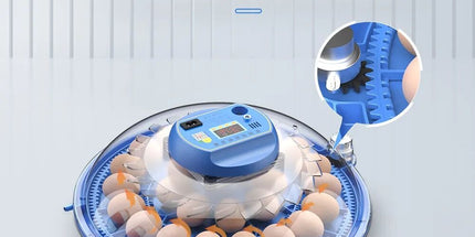 CARLA HOME 52 Egg Incubator with Automatic Turning, LED Display, Humidity & Temperature Control, Auto Water System & Built-in Egg Candler for Chicken, Duck, Quail, Goose