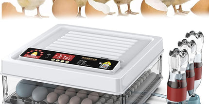 CARLA HOME 70 Egg Incubator with Automatic Turning, LED Display, Humidity & Temperature Control, Auto Water System & Built-in Egg Candler for Chicken, Duck, Quail, Goose