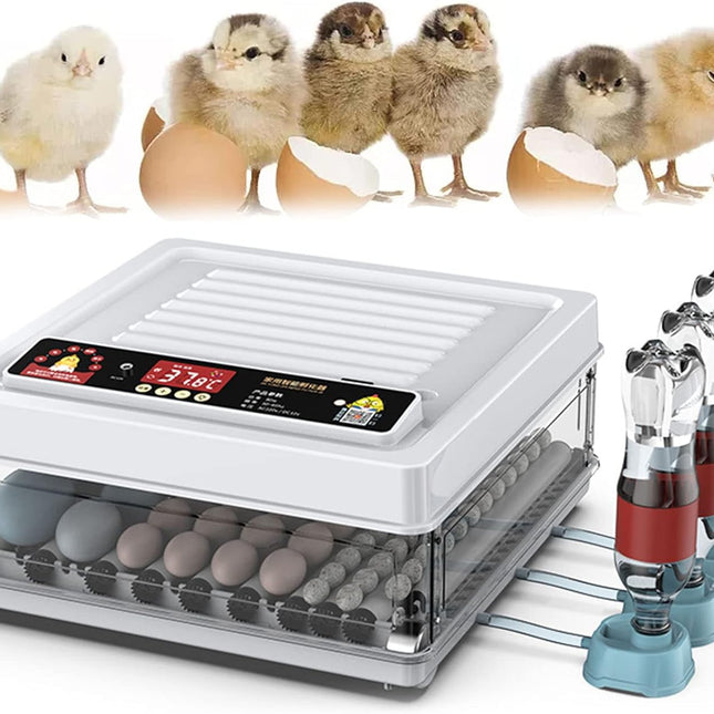 CARLA HOME 70 Egg Incubator with Automatic Turning, LED Display, Humidity & Temperature Control, Auto Water System & Built-in Egg Candler for Chicken, Duck, Quail, Goose