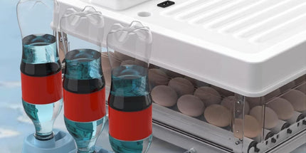 CARLA HOME 70 Egg Incubator with Automatic Turning, LED Display, Humidity & Temperature Control, Auto Water System & Built-in Egg Candler for Chicken, Duck, Quail, Goose