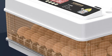 CARLA HOME 70 Egg Incubator with Automatic Turning, LED Display, Humidity & Temperature Control, Auto Water System & Built-in Egg Candler for Chicken, Duck, Quail, Goose