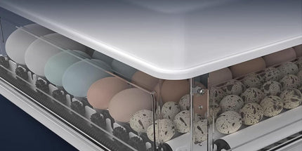 CARLA HOME 70 Egg Incubator with Automatic Turning, LED Display, Humidity & Temperature Control, Auto Water System & Built-in Egg Candler for Chicken, Duck, Quail, Goose