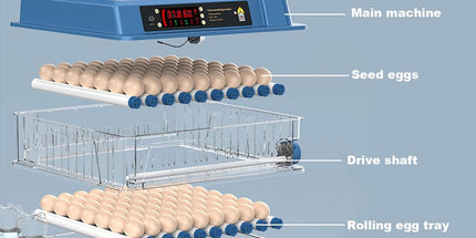 CARLA HOME 128 Egg Incubator with Automatic Turning, LED Display, Humidity & Temperature Control, Auto Water System & Built-in Egg Candler for Chicken, Duck, Quail, Goose