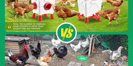 CARLA HOME Chicken Feeder Waterer Set, Automatic Gravity Dispenser with 8KG Food & 8L Water Capacity, 4 Ports & Cups, Clean Poultry Feeding for Coop, Duck, Quail, Hen