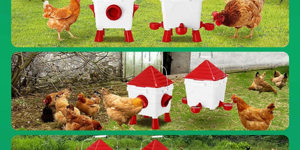 CARLA HOME Chicken Feeder Waterer Set, Automatic Gravity Dispenser with 8KG Food & 8L Water Capacity, 4 Ports & Cups, Clean Poultry Feeding for Coop, Duck, Quail, Hen