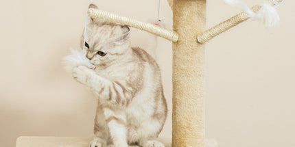 CARLA HOME 134cm Cat Tree for Indoor Cats with Hammock, Plush Perch & Sisal Scratching Posts for Kittens & Adult Cats (Beige)