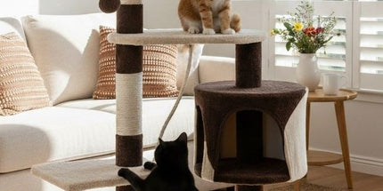 CARLA HOME 140cm Cat Tree for Indoor Cats with Plush Perch, Sisal Scratching Posts & Condo for Kittens & Adult Cats (Dark Grey)