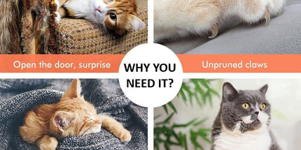 CARLA HOME 140cm Cat Tree for Indoor Cats with Plush Perch, Sisal Scratching Posts & Condo for Kittens & Adult Cats (Dark Grey)