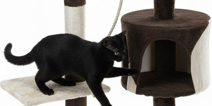 CARLA HOME 140cm Cat Tree for Indoor Cats with Plush Perch, Sisal Scratching Posts & Condo for Kittens & Adult Cats (Beige)
