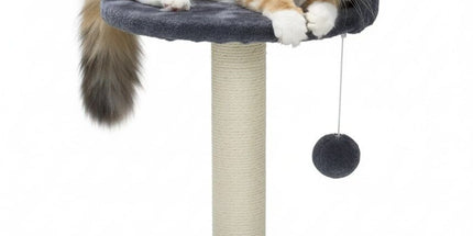 CARLA HOME Cat Tree Tower for Indoor Cats with Plush Perch, Sisal Scratching Post & Hanging Ball Toy for Kittens or Small Breeds