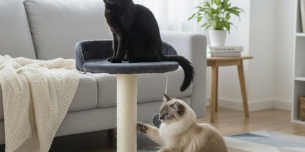 CARLA HOME Cat Tree Tower for Indoor Cats with Plush Perch, Sisal Scratching Post & Hanging Ball Toy for Kittens or Small Breeds