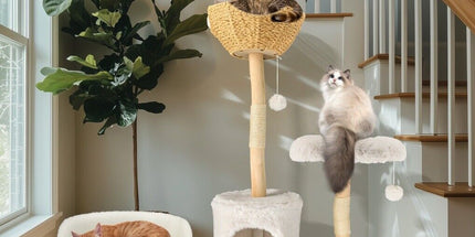 Cat Tree Condo Activity Center Sisal Scratcher Tower