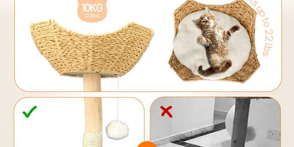 Cat Tree Condo Activity Center Sisal Scratcher Tower