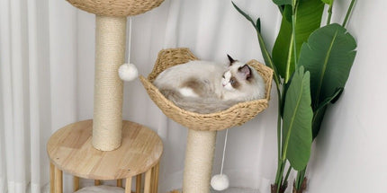 Cat Tree Tower Large Scratching Post Condo Basket Activity Center