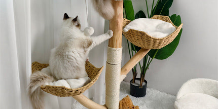 Cat Tree Scratcher Plush Sisal Willow Wood w Basket Cushion