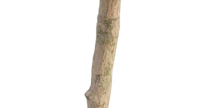 Artificial Olive Tree 2M