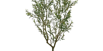 Artificial Olive Tree In French Crock Pot 2M