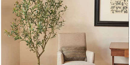 Artificial Olive Tree In French Crock Pot 2M