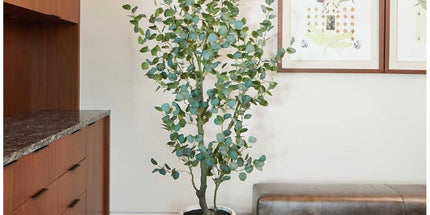 Artificial Eucalyptus Tree 1.9M