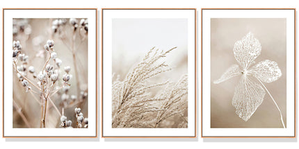 Wall Art 60cmx90cm Dried Flower 3 Sets Wood Frame Canvas