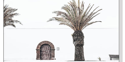 Wall Art 60cmx90cm European Palm Tree White Frame Canvas
