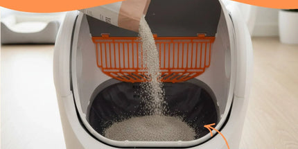 Rooster Farms Smart Cat Litter Box Automatic WiFi Self Cleaning Tray 68L