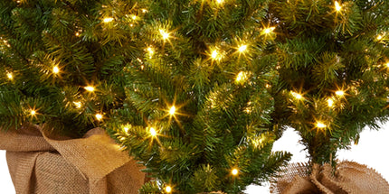 Christabelle Set of 3 Pre-Lit Christmas Trees Green Pine w/LED Lights, Hessian Base & Individual Plugs Varying Heights
