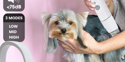 Furtastic 8-in-1 Xl Pet Grooming Kit Vacuum Cleaner