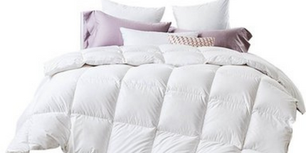80% Goose ALL Seasons Quilt - Double