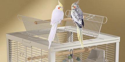 Bird Cage Double Layer Metal Villa Large Size Aviary House for Parrot Pet Indoor