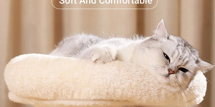Cat Climbing Frame Bed Multi Functional Stand Cat Tree Condo Furniture for Cats