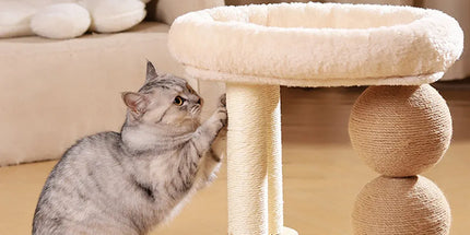 Cat Climbing Frame Bed Multi Functional Stand Cat Tree Condo Furniture for Cats