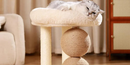 Cat Climbing Frame Bed Multi Functional Stand Cat Tree Condo Furniture for Cats