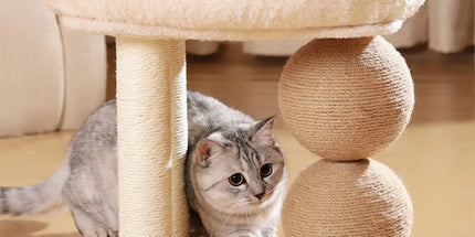 Cat Climbing Frame Bed Multi Functional Stand Cat Tree Condo Furniture for Cats