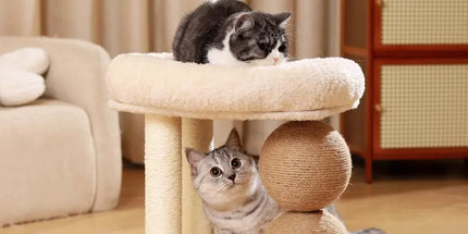 Cat Climbing Frame Bed Multi Functional Stand Cat Tree Condo Furniture for Cats