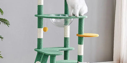 Cactus Shape Cat Tree Climbing Tower Scratching Board Nest for Kitten Play Rest