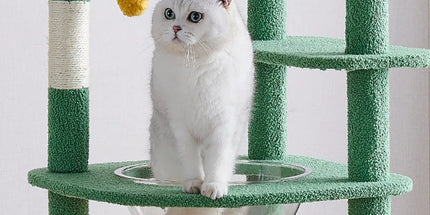 Cactus Shape Cat Tree Climbing Tower Scratching Board Nest for Kitten Play Rest