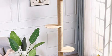 Cat Toy Cat Climbing Frame Floor Standing Multi Functional Cat Tree Pet Furniture - Simple Cat Tree