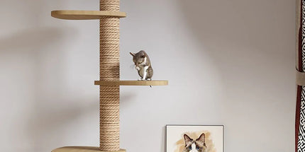 Cat Toy Cat Climbing Frame Floor Standing Multi Functional Cat Tree Pet Furniture - Simple Cat Tree