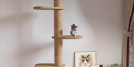 Cat Toy Cat Climbing Frame Floor Standing Multi Functional Cat Tree Pet Furniture - Cat Tree with Bowl