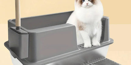 5-Piece Grey Cat Litter Box Set Tyack eCommerce Solutions