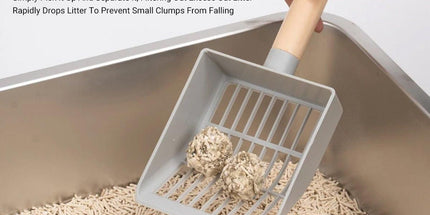 5-Piece Grey Cat Litter Box Set Tyack eCommerce Solutions