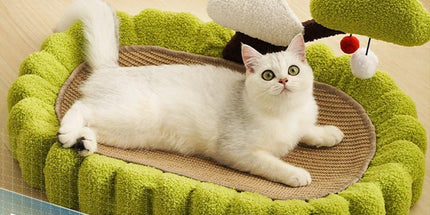 Durable Cat Scratching Bowl Mat Scratch Post Tree Cat Toy for Long-lasting Fun